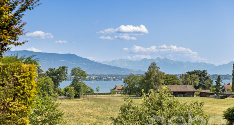 Superbe Attique de 5 pièces, vue lac et montagnes image 11