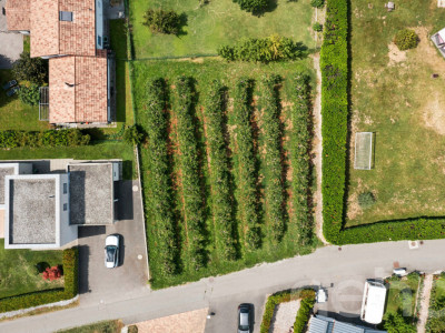 Magnifique parcelle constructible de 782 m² à Fully ? Beau potentiel image 2