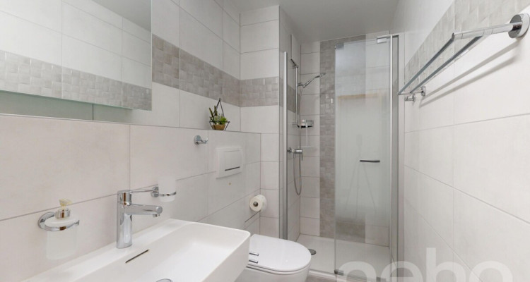 Grand 5,5 pièces de 160 m², vue dégagée et calme absolu image 9