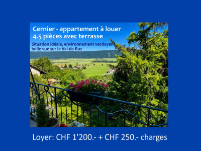 Charmant appartemet rénové avec terrasse au coeur de Cernier image 1