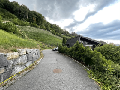 Traumhaus mit traumhaftem Weitblick image 1