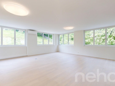 Zentral, stilvoll, grosszügig ? 4.5-Zimmer-Wohnung mit zwei Terrassen image 3