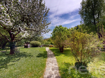 Maison de caractère au c?ur d?un nature préservée et protégée image 4