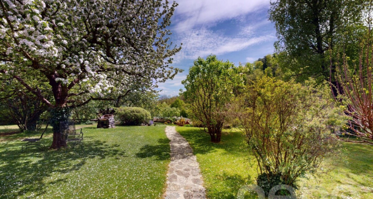 Maison de caractère au c?ur d?un nature préservée et protégée image 4