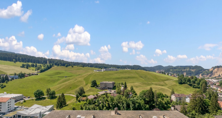 Idéal 1er investissement !! 3.5 pces avec vue dégagée déjà loué !!  image 10