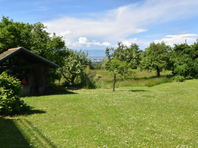 MAISON A RENOVER AVEC UNE 2E PARECELLE CONSTRUCTIBLE image 2