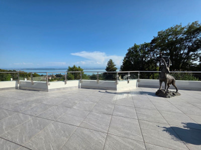 Villa Terrasse de 5,5 pièces avec vue époustouflante sur le lac et les Alpes image 2