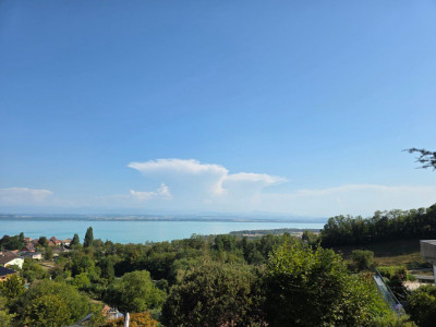 Villa Terrasse de 5,5 pièces avec vue époustouflante sur le lac et les Alpes image 3