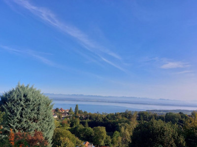 Villa Terrasse de 5,5 pièces avec vue époustouflante sur le lac et les Alpes image 4