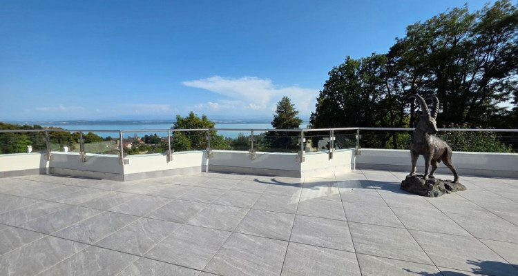 Villa Terrasse de 5,5 pièces avec vue époustouflante sur le lac et les Alpes image 2
