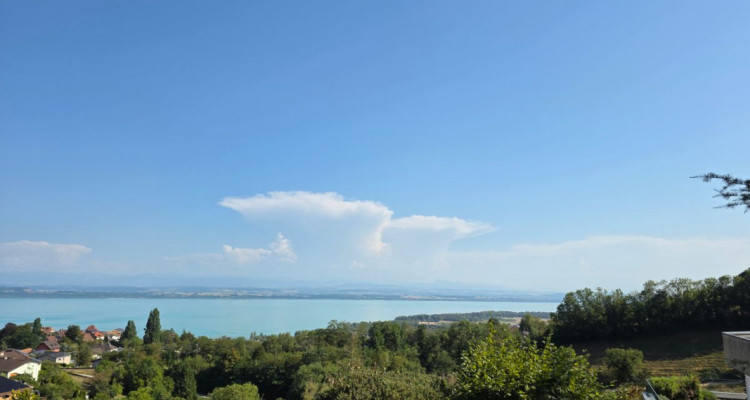 Villa Terrasse de 5,5 pièces avec vue époustouflante sur le lac et les Alpes image 3