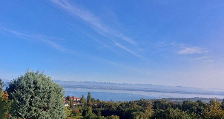 Villa Terrasse de 5,5 pièces avec vue époustouflante sur le lac et les Alpes image 4