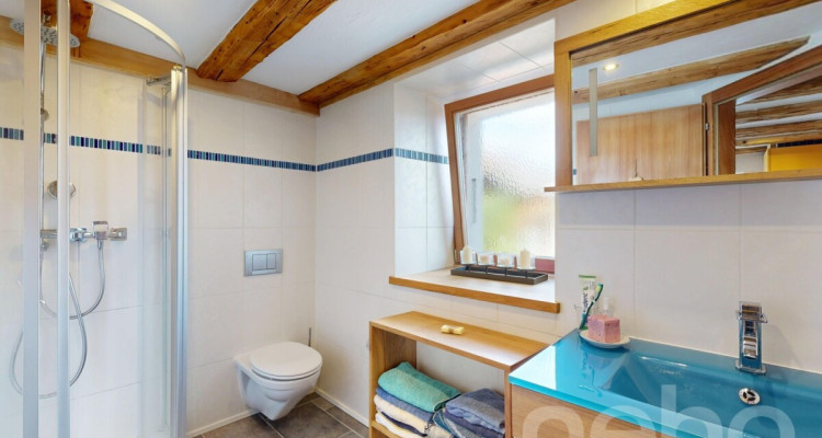 Charmante maison de montagne, entièrement rénovée image 11
