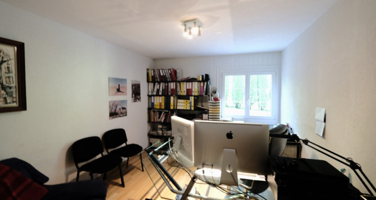 Mont-sur-Lausanne, magnifique villa individuelle  image 11