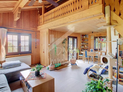 Chalet en madriers, vue lac Léman et montagnes - Vente aux étrangers OK image 1