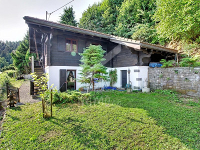 Chalet en madriers, vue lac Léman et montagnes - Vente aux étrangers OK image 10