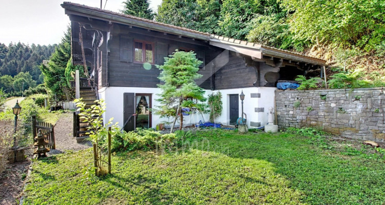 Chalet en madriers, vue lac Léman et montagnes - Vente aux étrangers OK image 10