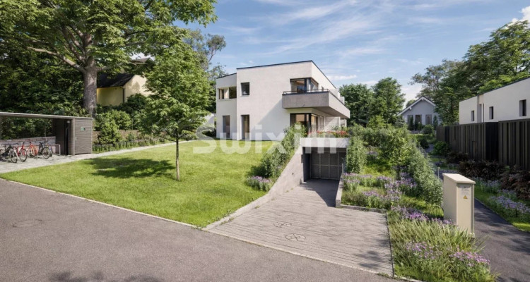 Magnificent modern HPE house in Vernier image 13
