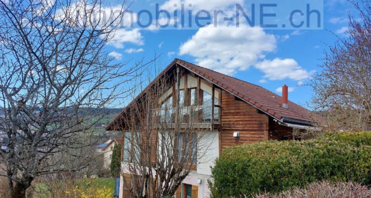 Spacieuse villa avec appartement indépendant au rez inférieur image 1