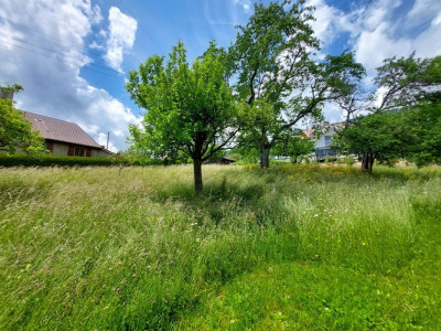 Charmante ferme avec vue sur le lac et les Alpes, comprenant deux appartements et une grange image 4