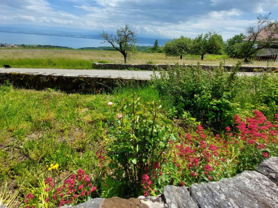 Charmante ferme avec vue sur le lac et les Alpes, comprenant deux appartements et une grange image 5