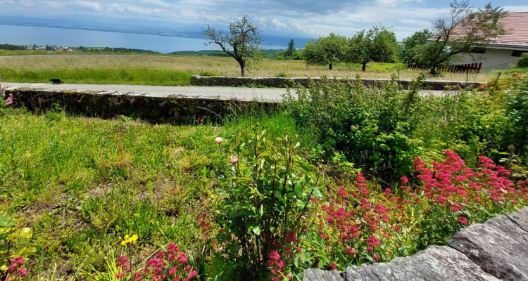 Charmante ferme avec vue sur le lac et les Alpes, comprenant deux appartements et une grange image 5