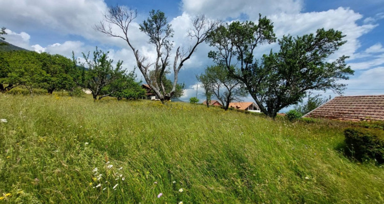 Charmante ferme avec vue sur le lac et les Alpes, comprenant deux appartements et une grange image 6