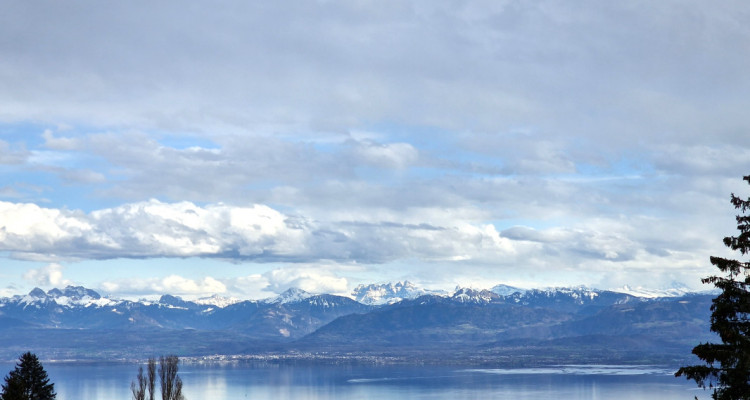 En Exclusivité: Beautiful Lake View Villa, Arzier, Abby Bryand immobilier image 2