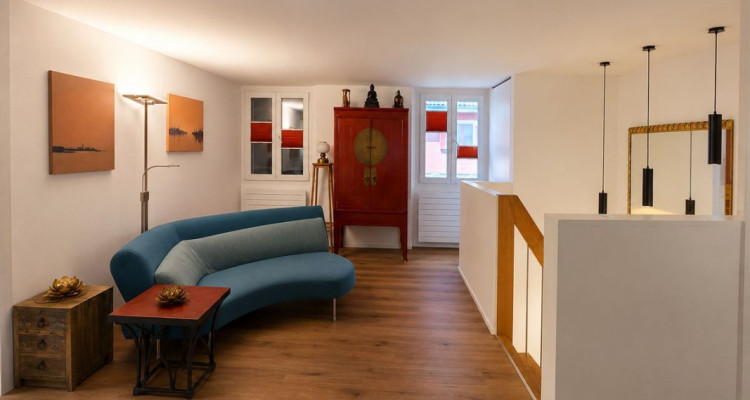 Maison individuelle entièrement rénovée avec jardin image 6