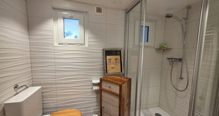 Maison individuelle entièrement rénovée avec jardin image 12