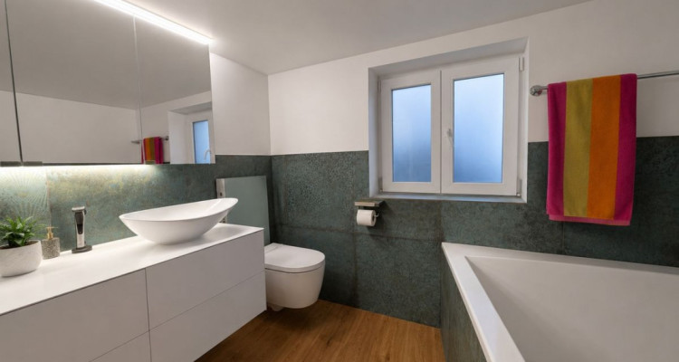 Maison individuelle entièrement rénovée avec jardin image 13