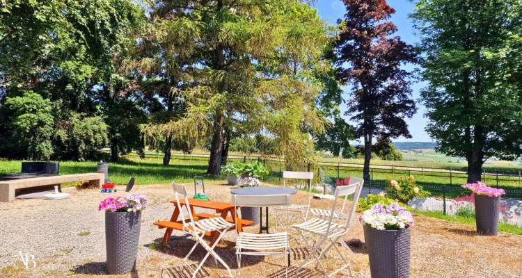 En exclusivité, Duplex vue lac et Mont-Blanc, centre Village à Arzier image 12