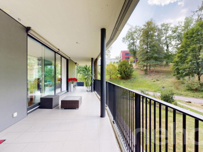 Lichtdurchflutete 3.5-Zimmerwohnung mit grossem Balkon am Rotsee image 5