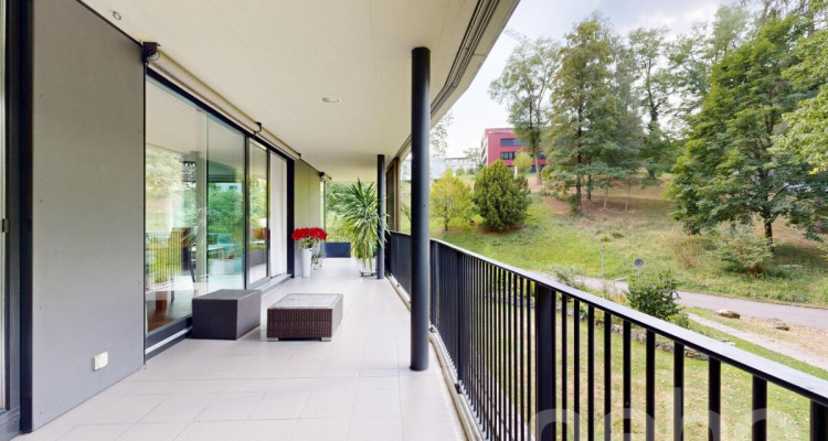 Lichtdurchflutete 3.5-Zimmerwohnung mit grossem Balkon am Rotsee image 5