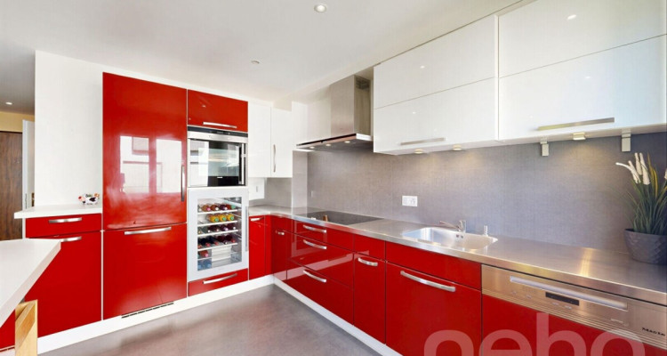 Duplex en attique rénové en Terre Sainte aux volumes généreux image 7