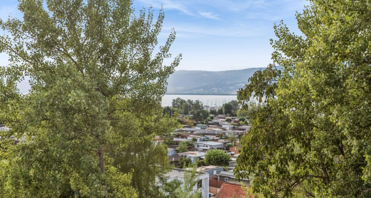 Attique avec magnifique vue sur le lac et une grande terrasse image 9