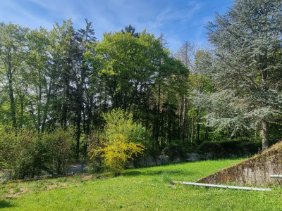 Bassins – Un lieu à part image 6
