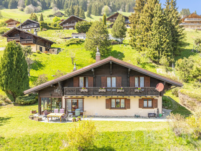 Exclusif: Grand chalet de trois chambres avec 2 garages image 1
