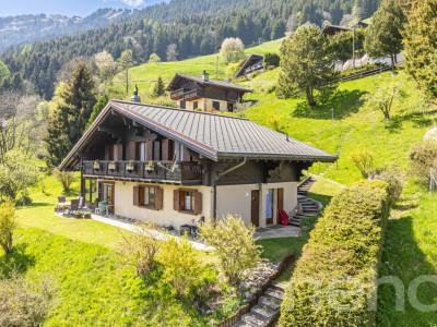 Exclusif: Grand chalet de trois chambres avec 2 garages image 2