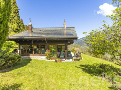 Exclusif: Grand chalet de trois chambres avec 2 garages image 3