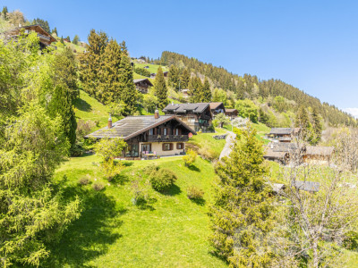 Exclusif: Grand chalet de trois chambres avec 2 garages image 4