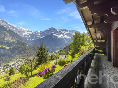 Exclusif: Grand chalet de trois chambres avec 2 garages image 7