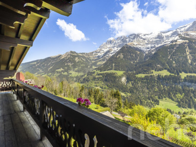 Exclusif: Grand chalet de trois chambres avec 2 garages image 8