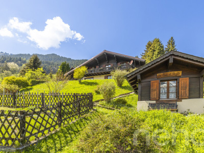 Exclusif: Grand chalet de trois chambres avec 2 garages image 9