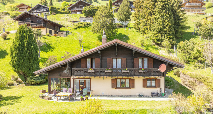Exclusif: Grand chalet de trois chambres avec 2 garages image 1