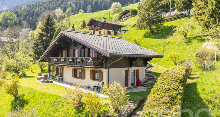 Exclusif: Grand chalet de trois chambres avec 2 garages image 2