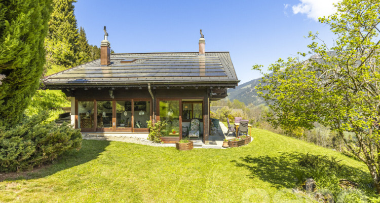 Exclusif: Grand chalet de trois chambres avec 2 garages image 3