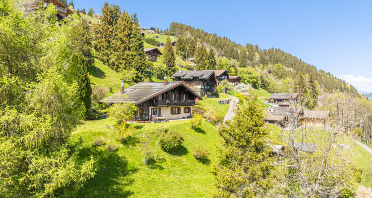 Exclusif: Grand chalet de trois chambres avec 2 garages image 4