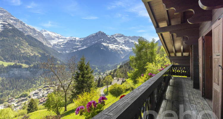 Exclusif: Grand chalet de trois chambres avec 2 garages image 7