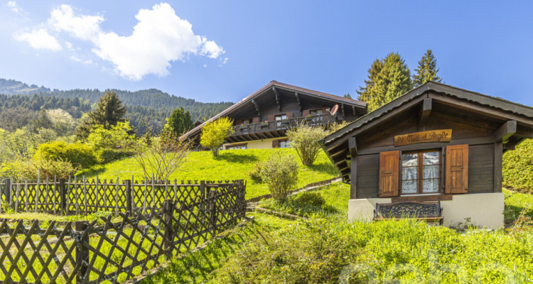 Exclusif: Grand chalet de trois chambres avec 2 garages image 9